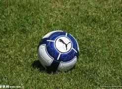 精准狙击,大乐透,期必中秘籍,河南体彩,河南体彩网,河南体彩网官网,体育彩票,体彩大乐透,竞彩足球,体彩公益