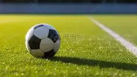 【孤勇者彩市秘籍】第26031期3D彩票遗漏解析：精准值与跨度预测，567数字揭秘！