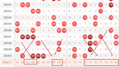 大乐透期号专家推荐：质合分析前区十码，组选复式成绩佳