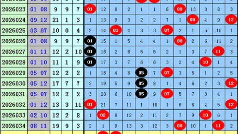 26028期大乐透专家推荐：前区十码复式分析